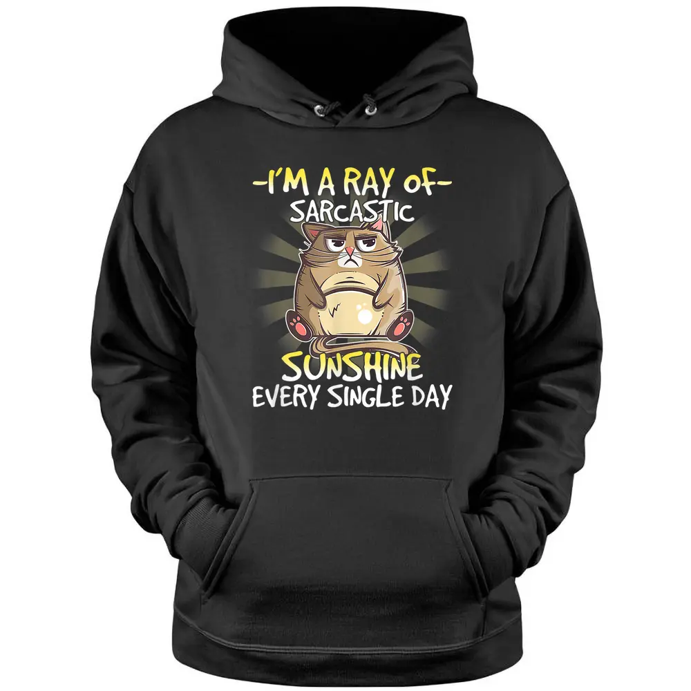 Cat I M A Ray Of Sarcastic Sunshine Every Single Day Hoodie